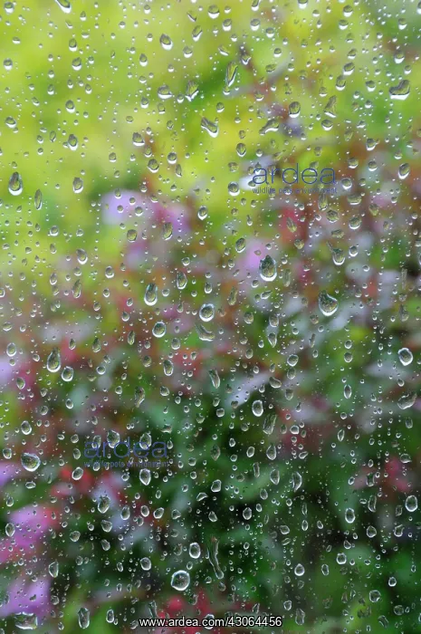 : Viewedthroughwindowwithraindrops : Viewedthroughwindowwithraindrops