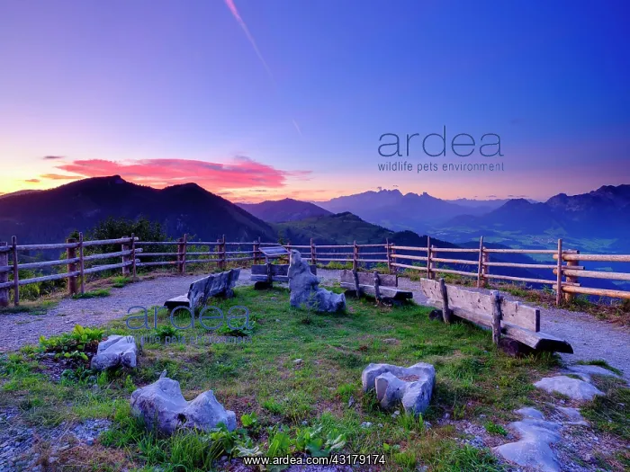 : Viewpoint with alpine panorama, behind the Dachstein : Viewpoint with alpine panorama, behind the Dachstein