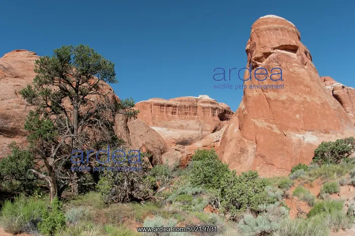  : Viewpoint in Arches national park, Utah, USA
