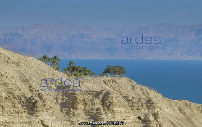 : Viewpoint near Ein Gedi Field School, Dead Sea : Viewpoint near Ein Gedi Field School, Dead Sea