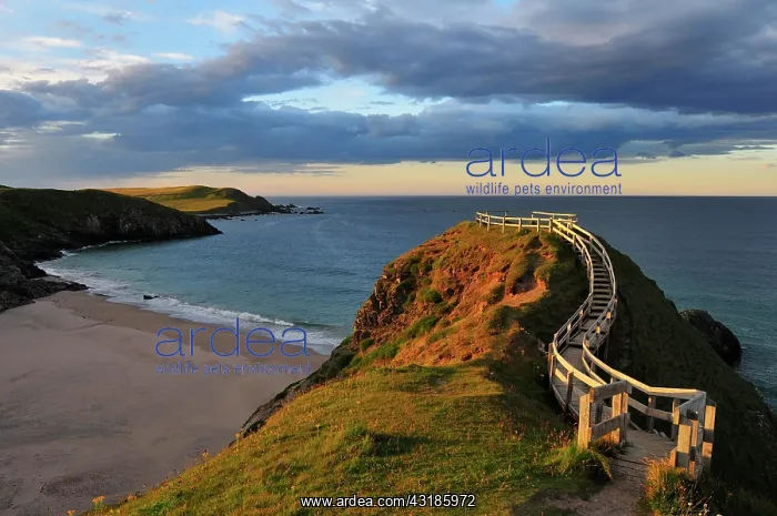 : Viewpoint overlooking the beach of Sango Bay, Durness : Viewpoint overlooking the beach of Sango Bay, Durness