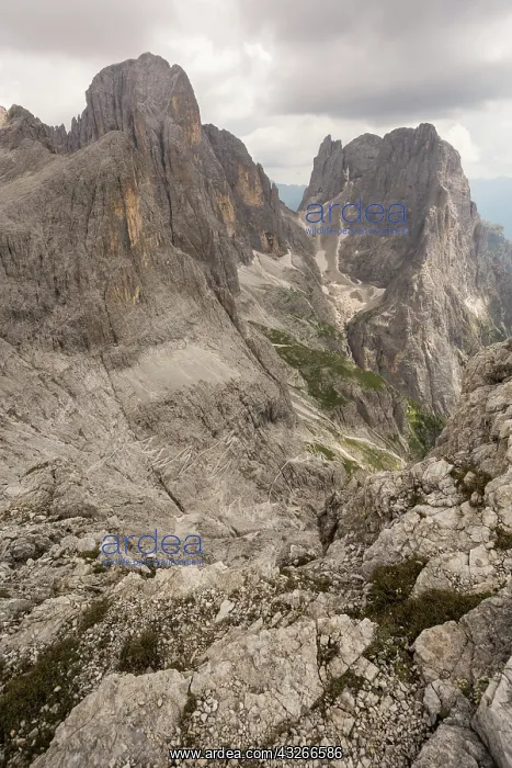 : Viewpoint of Pale di San Martino, dolomites, Trentino : Viewpoint of Pale di San Martino, dolomites, Trentino