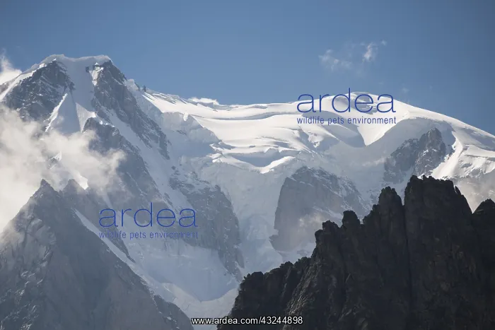 : Viewpoint from Punta Helbronner to Monte Bianco : Viewpoint from Punta Helbronner to Monte Bianco