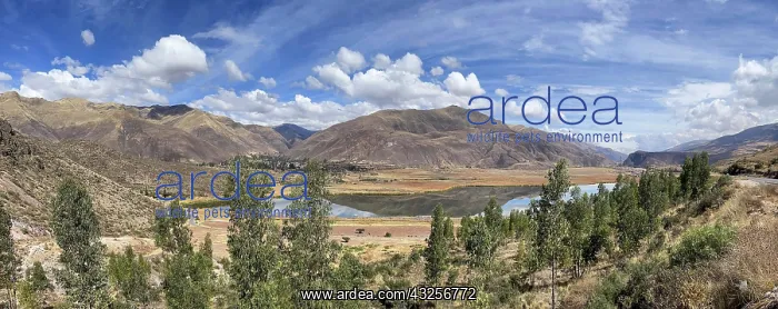  : Viewpoint, view of Laguna de Huacarpay, Cusco, Peru