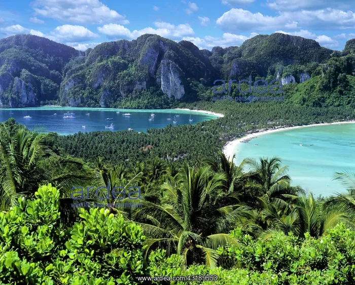 : Views of Ton Sai and Lo Dalam Beach, Ko Phi Phi : Views of Ton Sai and Lo Dalam Beach, Ko Phi Phi
