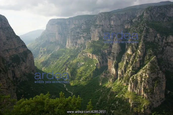 : The Vikos Gorge, Vikos Gorge National Park, north-west : The Vikos Gorge, Vikos Gorge National Park, north-west