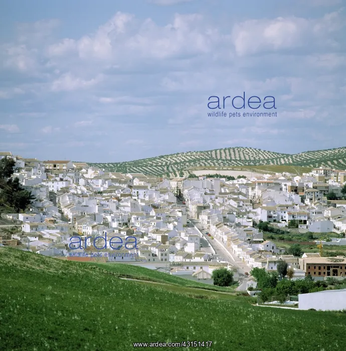 : Village in Andalucia, Spain : Village in Andalucia, Spain