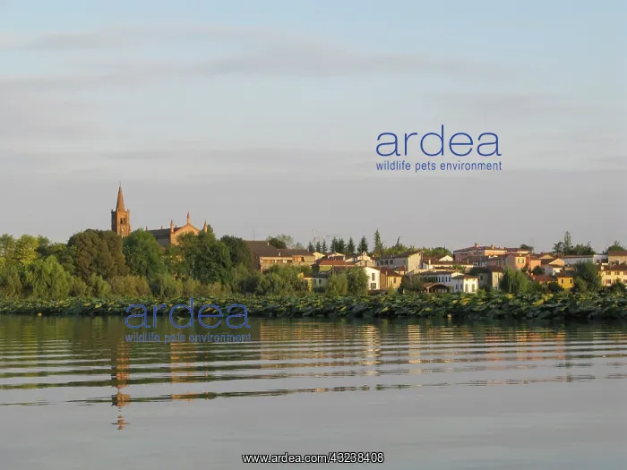 : Village of Angeli on the shore of Lake of : Village of Angeli on the shore of Lake of
