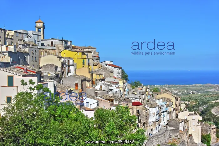  : The village of Badolato in the Province of Catanzaro