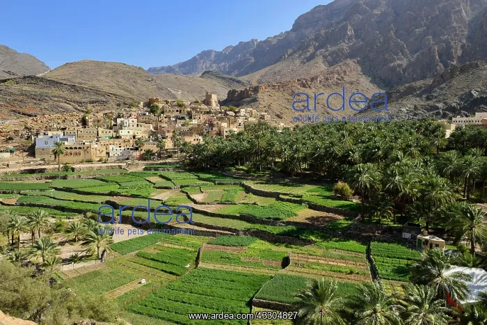 : Village of Balad Sayt, Hajar al Gharbi mountains : Village of Balad Sayt, Hajar al Gharbi mountains