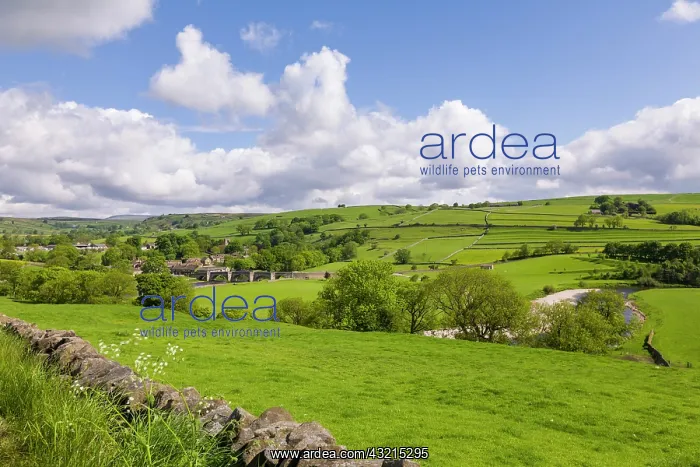  : Village of Burnsall, Yorkshire Dales