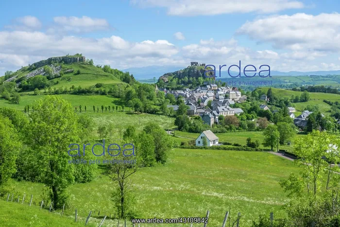 : Village and the castle, Apchon, Cheylade valley : Village and the castle, Apchon, Cheylade valley