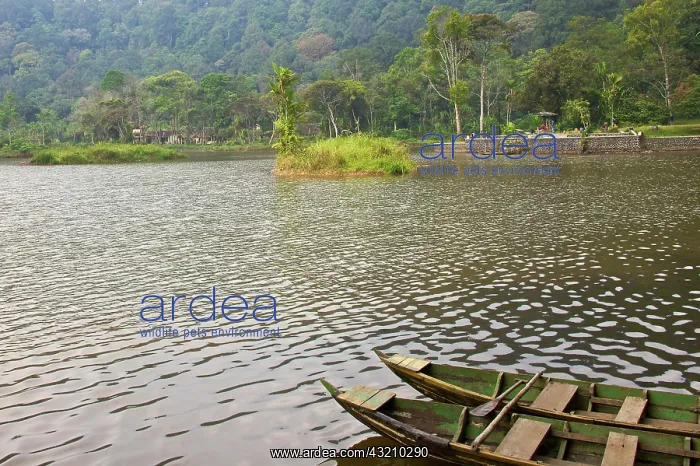 : Village on coastline, Gunung Gede Pangrango : Village on coastline, Gunung Gede Pangrango