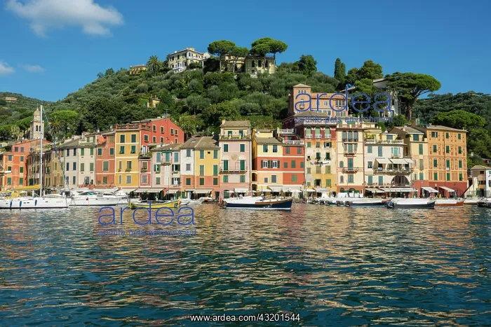 : Village with colourful houses on the coast, Portofino : Village with colourful houses on the coast, Portofino