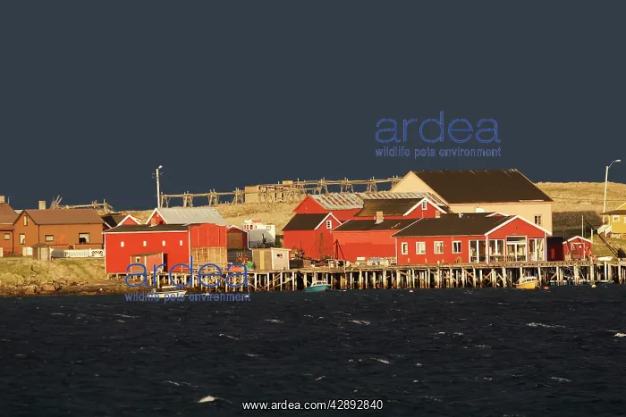 : Village d'Ekkoroy by Varanger fjord - Norway : Village d'Ekkoroy by Varanger fjord - Norway