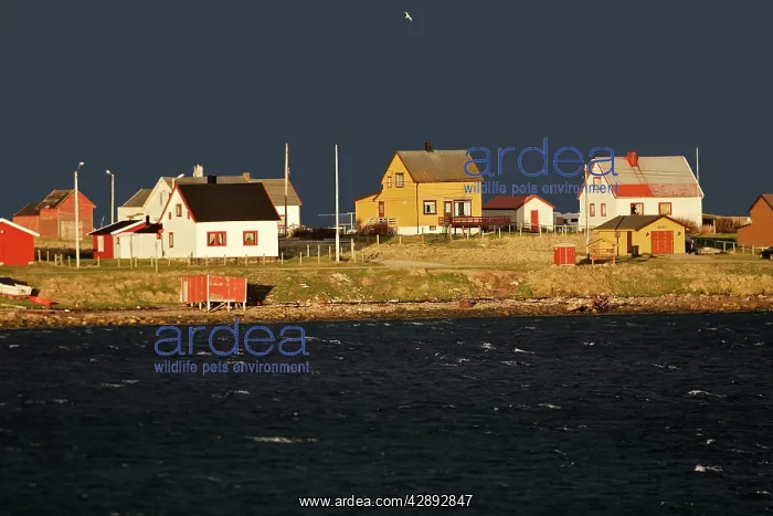 : Village d'Ekkoroy by Varanger fjord - Norway : Village d'Ekkoroy by Varanger fjord - Norway