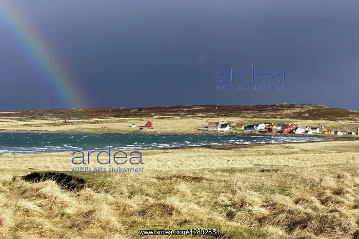 : Village d'Ekkoroy by Varanger fjord with storm : Village d'Ekkoroy by Varanger fjord with storm