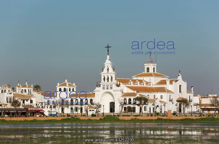 : The village of El Rocio with the Hermitage of El Rocio : The village of El Rocio with the Hermitage of El Rocio