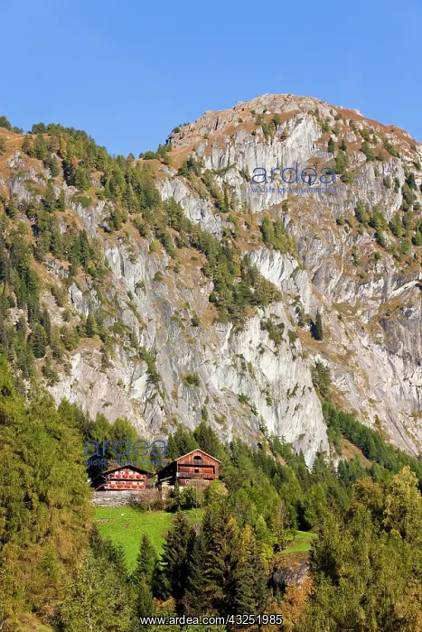 : The village Hinterbichl in valley Virgental : The village Hinterbichl in valley Virgental