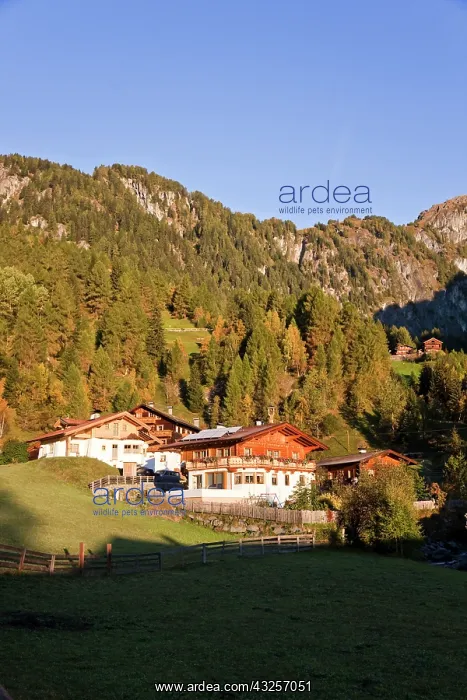 : The village Hinterbichl in valley Virgental : The village Hinterbichl in valley Virgental