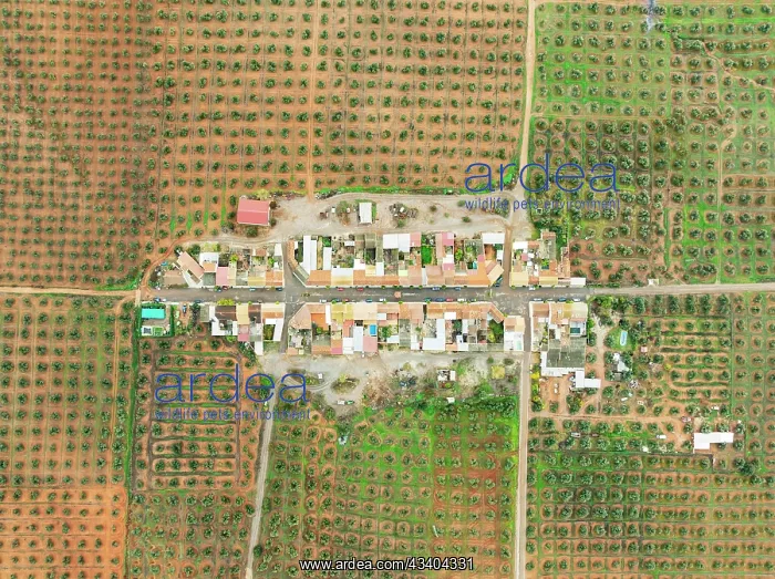 : The village of La Mesa is surrounded by cultivated : The village of La Mesa is surrounded by cultivated
