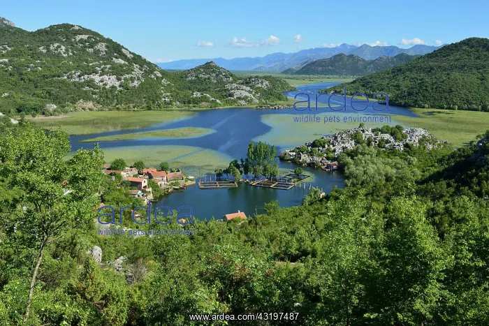 : Village in Lake Skadar National Park, Karuc, Scutari : Village in Lake Skadar National Park, Karuc, Scutari