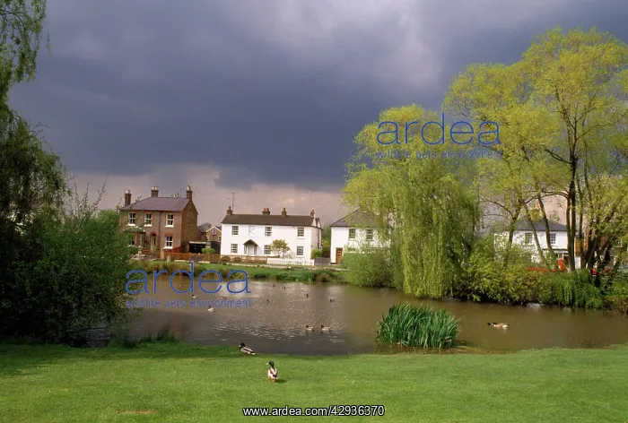 : Village Pond - West End : Village Pond - West End