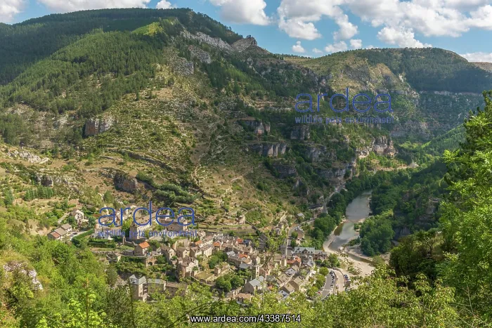 : The village of Sainte-Enimie in the Gorges du Tarn : The village of Sainte-Enimie in the Gorges du Tarn