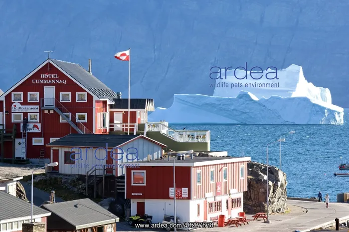 : Village Uummannaq Greenland : Village Uummannaq Greenland