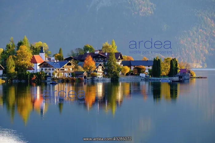 : Village Walchensee and Lake Walchensee in the morning : Village Walchensee and Lake Walchensee in the morning