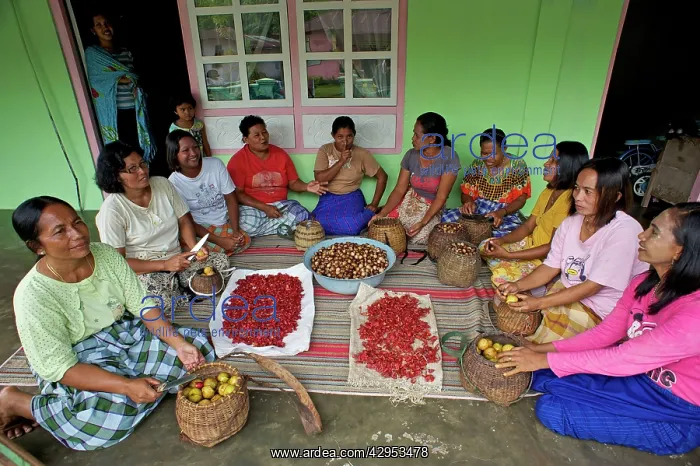 : Villagers - processing Nutmeg : Villagers - processing Nutmeg
