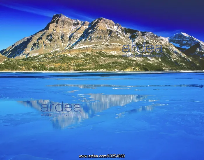 : Vimy Peak reflects into Waterton Lake in : Vimy Peak reflects into Waterton Lake in