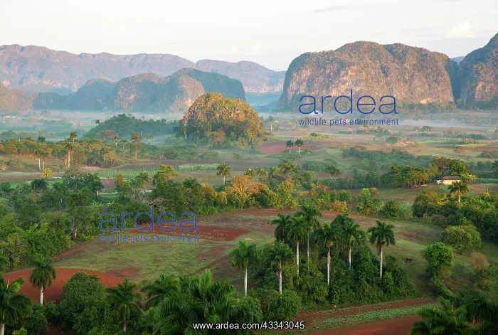 : The Vinales Valley, officially a national park : The Vinales Valley, officially a national park