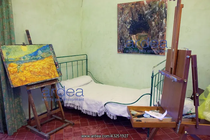 : Vincent Van Gogh's bedroom at Saint Paul : Vincent Van Gogh's bedroom at Saint Paul