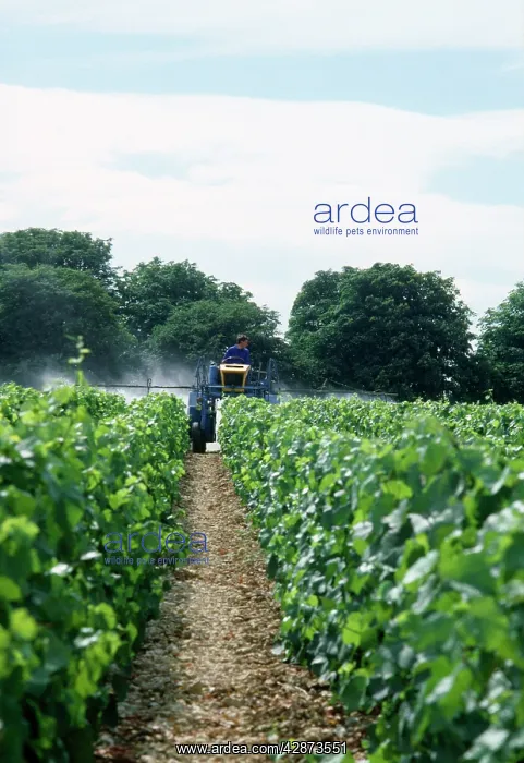  : Vineyard - spraying