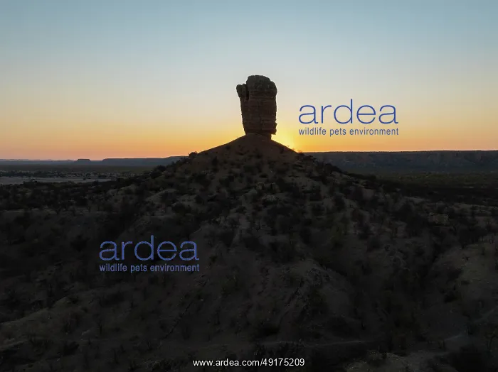  : The Vingerklip (rock finger) at sunrise