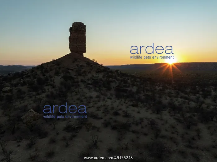 : The Vingerklip (rock finger) at sunrise : The Vingerklip (rock finger) at sunrise