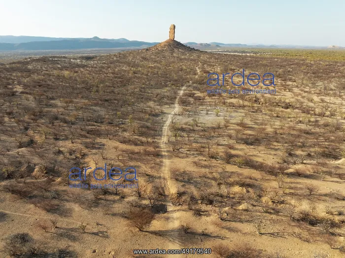 : The Vingerklip (rock finger) is surrounded by thornbush and mopane (Colophospermum mopane) savanna : The Vingerklip (rock finger) is surrounded by thornbush and mopane (Colophospermum mopane) savanna