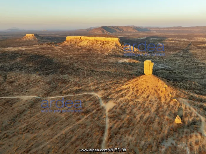 : The Vingerklip (rock finger) and the Ugab Valley Terraces are surrounded by thornbush and mopane (Colophospermum mopane) : The Vingerklip (rock finger) and the Ugab Valley Terraces are surrounded by thornbush and mopane (Colophospermum mopane)