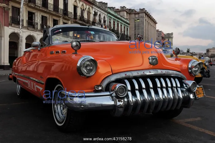 : Vintage Buick from the 1950s on the Prado at dusk : Vintage Buick from the 1950s on the Prado at dusk