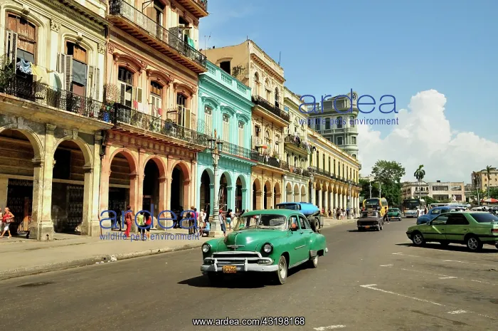  : Vintage car in front of buildings with colourful