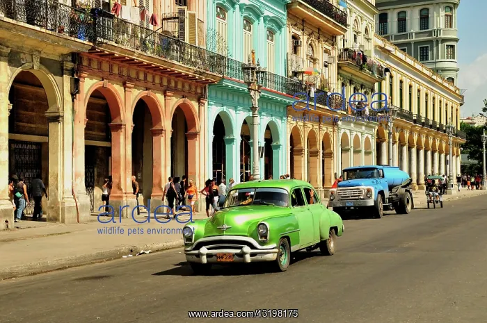 : Vintage car in front of buildings with colourful : Vintage car in front of buildings with colourful