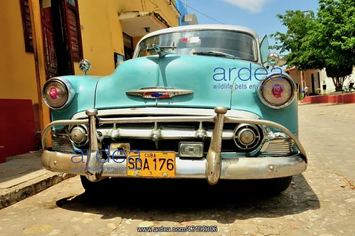 : Vintage car in the historic city centre of Trinidad : Vintage car in the historic city centre of Trinidad