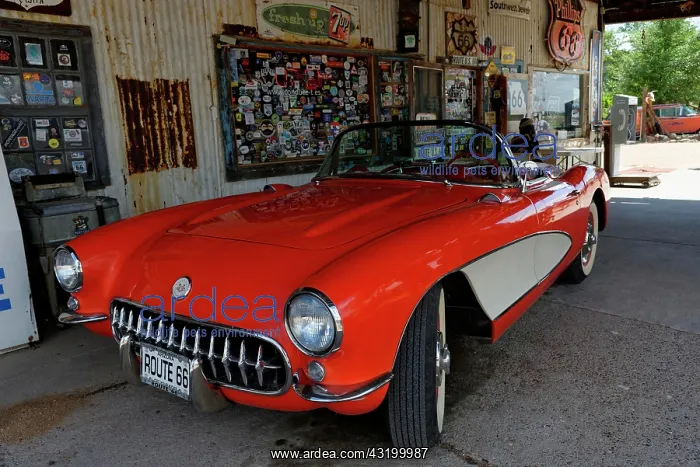  : Vintage Chevrolet Corvette 1957 Route 66, Hackberry