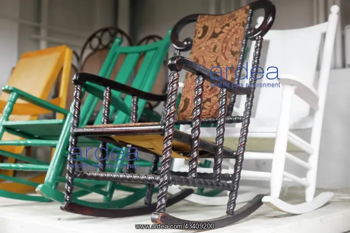 : Vintage Rocking Chairs in New York City, New York, USA : Vintage Rocking Chairs in New York City, New York, USA