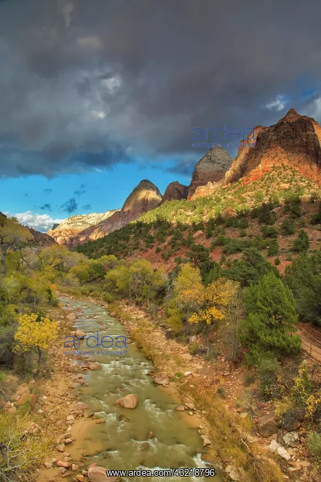 : The Virgin River in autumn under dramatic : The Virgin River in autumn under dramatic