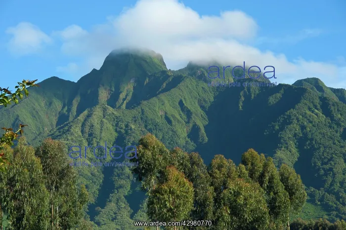 : Virunga Mountains Volcanoes National Park : Virunga Mountains Volcanoes National Park
