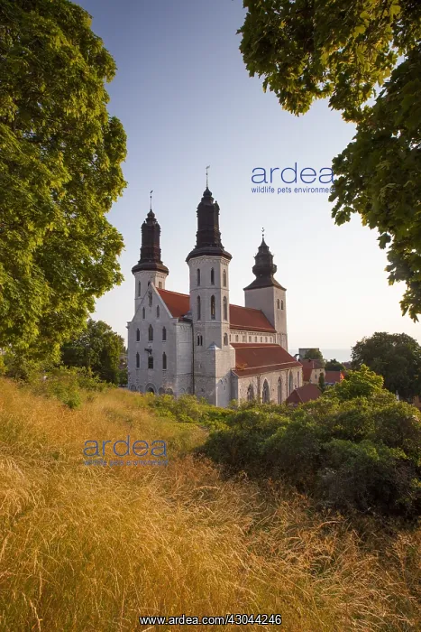 : Visby Cathedral dedicated to Saint Mary - inaugurated : Visby Cathedral dedicated to Saint Mary - inaugurated