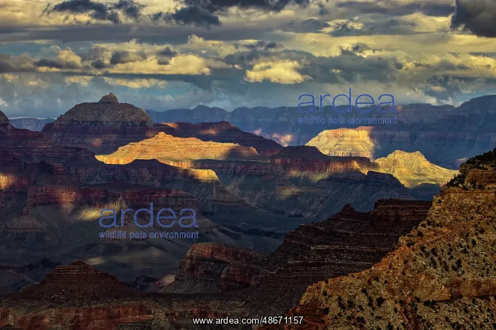 : Vishnu Temple at sunset, Grand Canyon National Park, Arizona : Vishnu Temple at sunset, Grand Canyon National Park, Arizona
