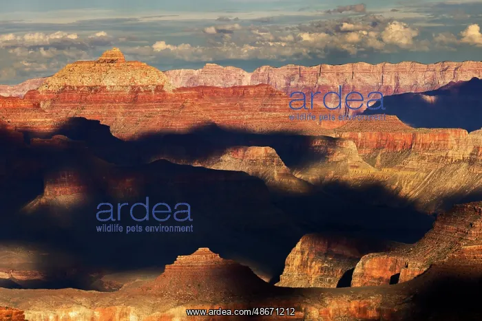 : Vishnu Temple at sunset from south rim, Grand Canyon : Vishnu Temple at sunset from south rim, Grand Canyon